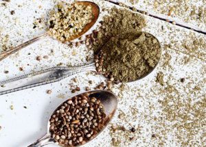 Tıbbi kenevir: kenevir tohumu ile ne ve nasıl tedavi edilir?