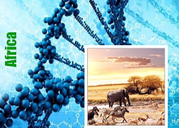 Africa genetiğine sahip kenevir çeşitleri