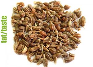 Anason aromalı kenevir çeşitleri