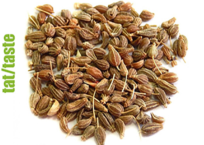 Anason aromalı kenevir çeşitleri